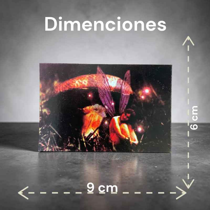 Estampas Coleccionables Esoterismo 5 Piezas Iguales Por Pac Hada Con Hongo Mitologia