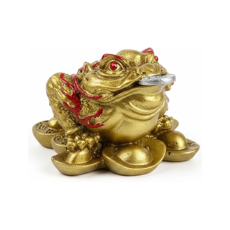 Rana De La Fortuna Dorada Feng Shui 5 Cm Para Abundancia Dorado by HEREJE