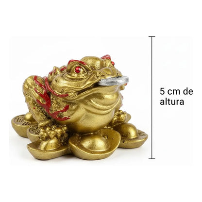 Rana De La Fortuna Dorada Feng Shui 5 Cm Para Abundancia Dorado by HEREJE