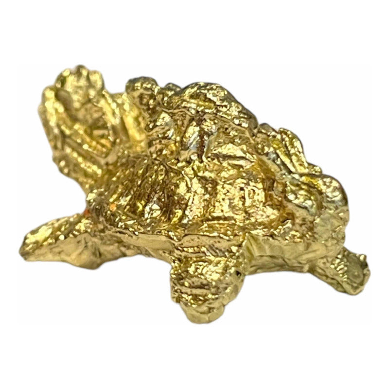 Tortuga Dragón Amuleto