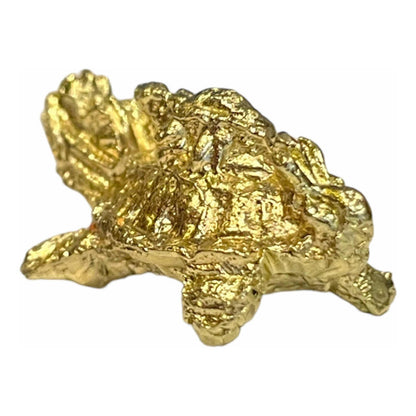 Tortuga Dragón Amuleto