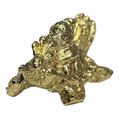 Tortuga Dragón Amuleto