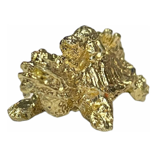 Tortuga Dragón Amuleto