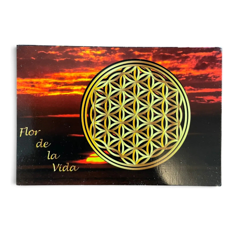 Estampas Coleccionables Esoterismo 5 Piezas Iguales Por Pac Flor De La Vida Simbologia by HEREJE