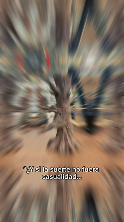 Porta Inciensos En Forma De Arbol Artesanales Arbol De La Suerte 14 Cm Artesanal