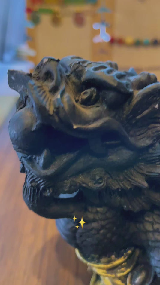 Figura Tortuga Dragón Feng Shui Abundancia 13cm Negro
